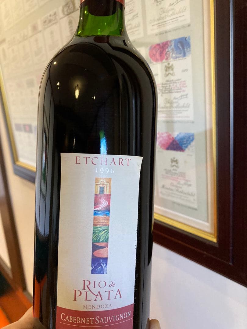 ワイン Etchart Rio de Plata MENDOZA1996
