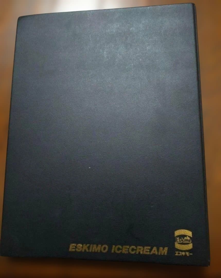 希少！！非売品！ 光GENJIエスキモーバインダー