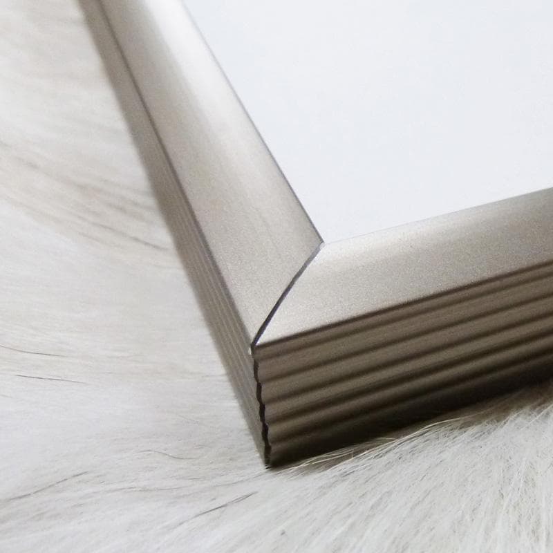 額装品/フルーツボールの構図（パブロ ピカソ）