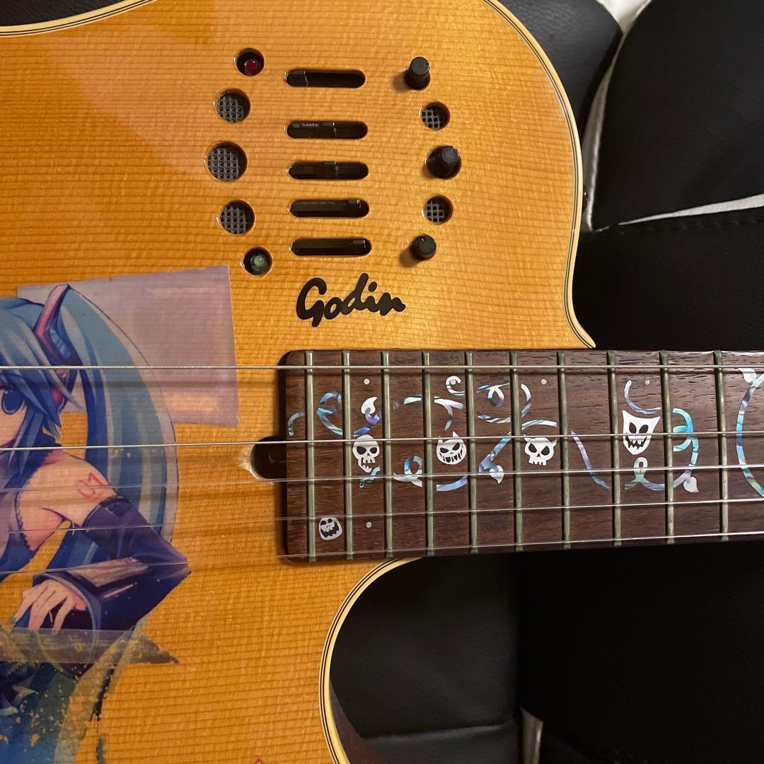 Godin Duet nylon 初期モデル