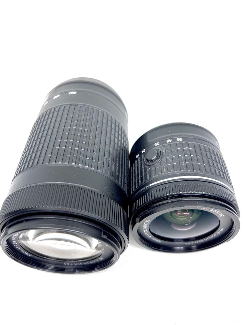 【美品、シャッター数2900回極小】ニコン Nikon D5600 ダブルズーム