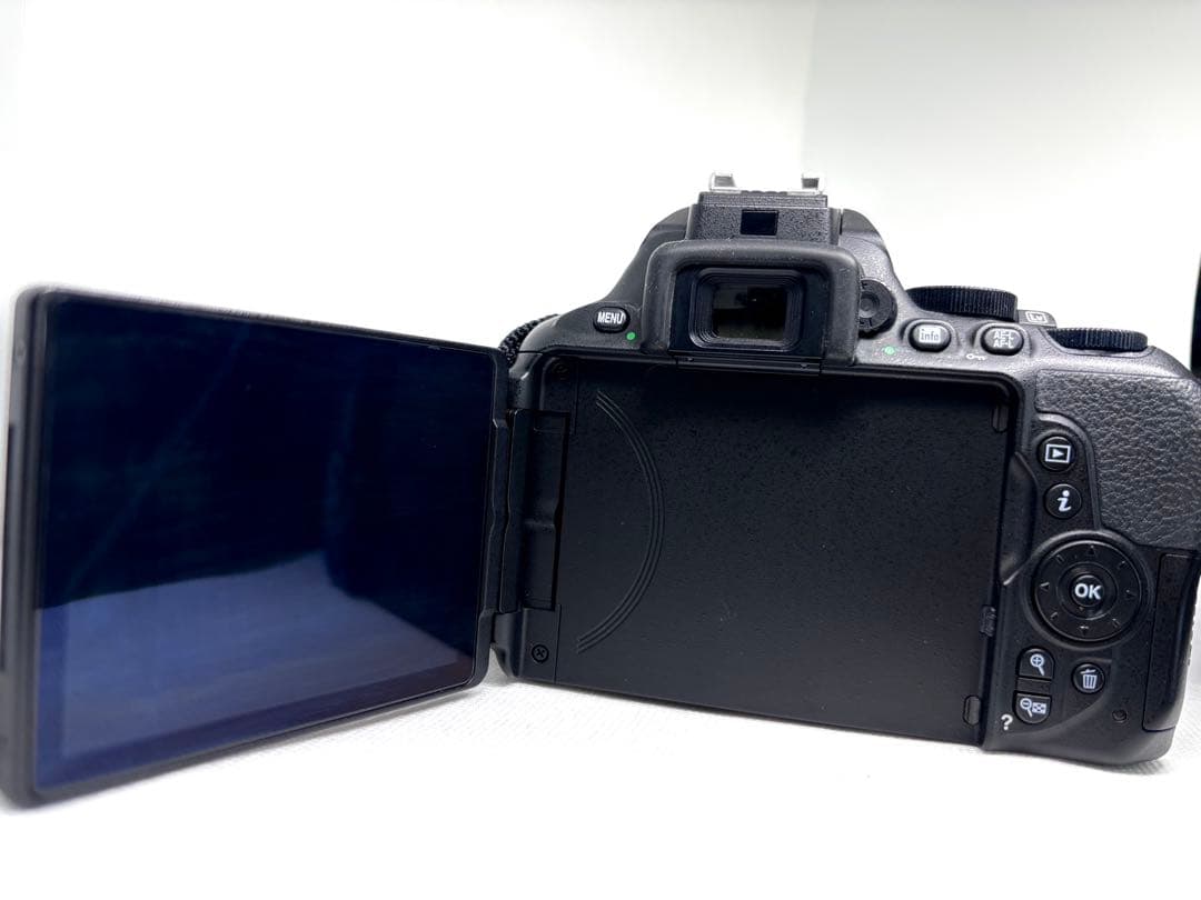 【美品、シャッター数2900回極小】ニコン Nikon D5600 ダブルズーム