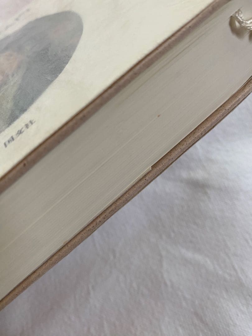 【絶版】ヘーゲル読解入門　国文社