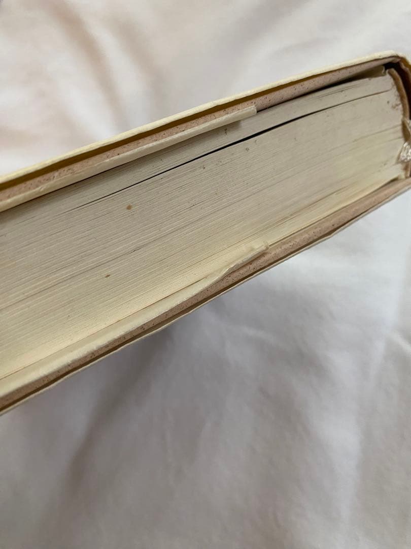 【絶版】ヘーゲル読解入門　国文社