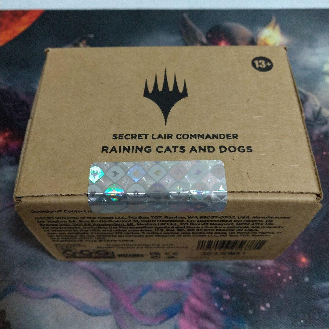 【MTG】Secret Lair Raining Cats and Dogs