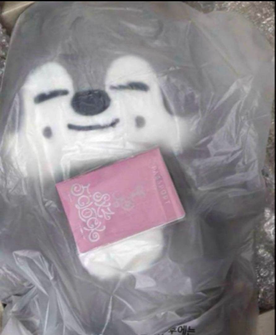 り*ま様 straykids スキズ テディベア SKZOO ウルフチャン　te