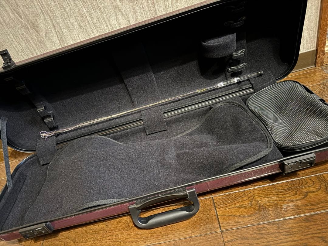 GEWA air 2.1 バイオリン4/4 オブロングケース