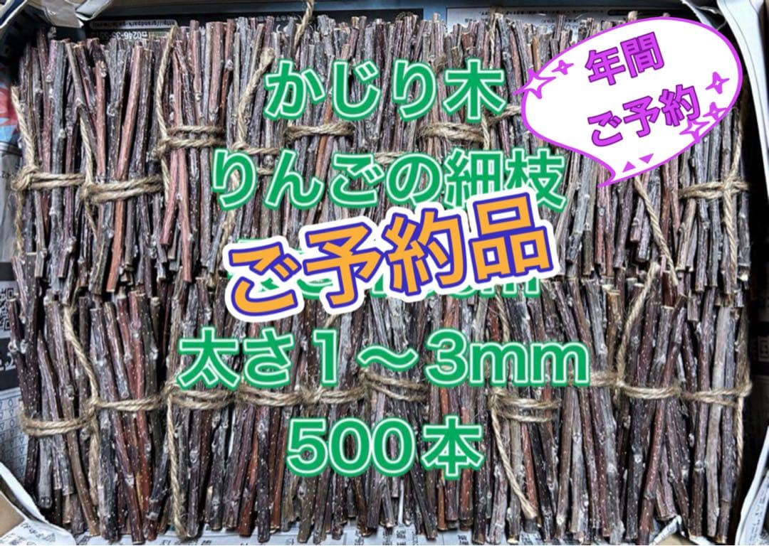 CCHIKAA様　ご予約品　かじり木　りんごの細枝　太さ1〜3mm 500本