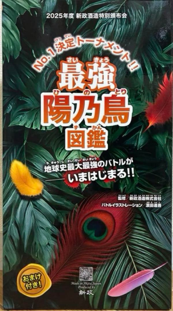 新政頒布会　2025 陽乃鳥　希少