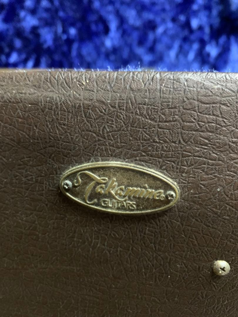 Takamine B10 タカミネ アコースティックベース フレットレスベース