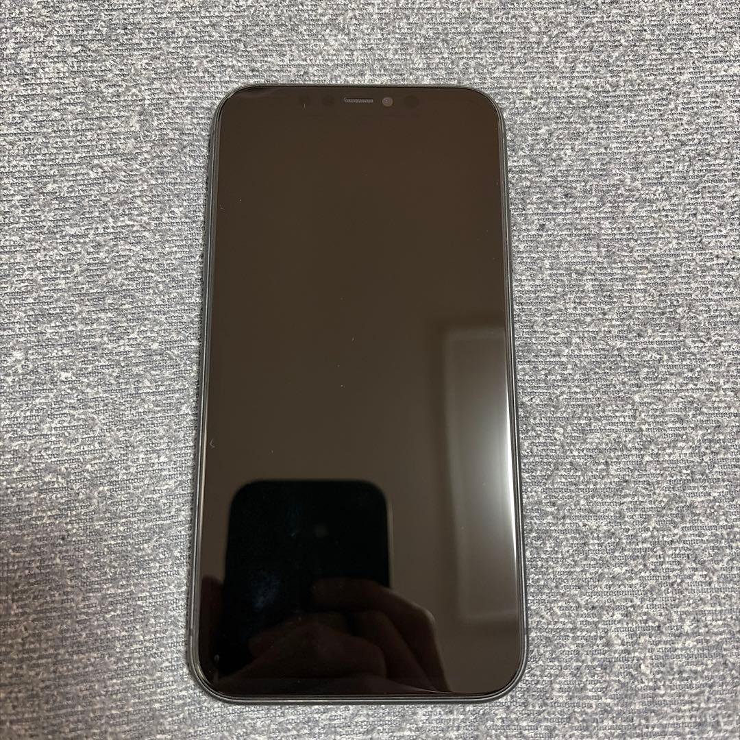 Apple iPhone 11 256GB SIMフリー　バッテリー91%