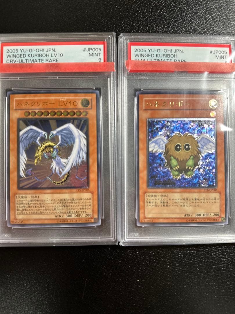 【PSA9連番】　ハネクリボー　ハネクリボーLV10 レリーフ　鑑定品