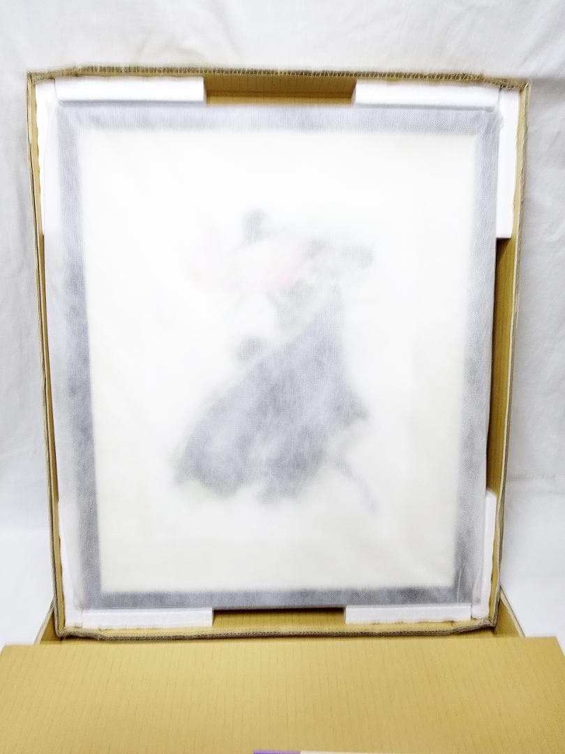 #天野喜孝 #オーダー原画 #吸血鬼ハンターD #共箱 #アールビバン保証書