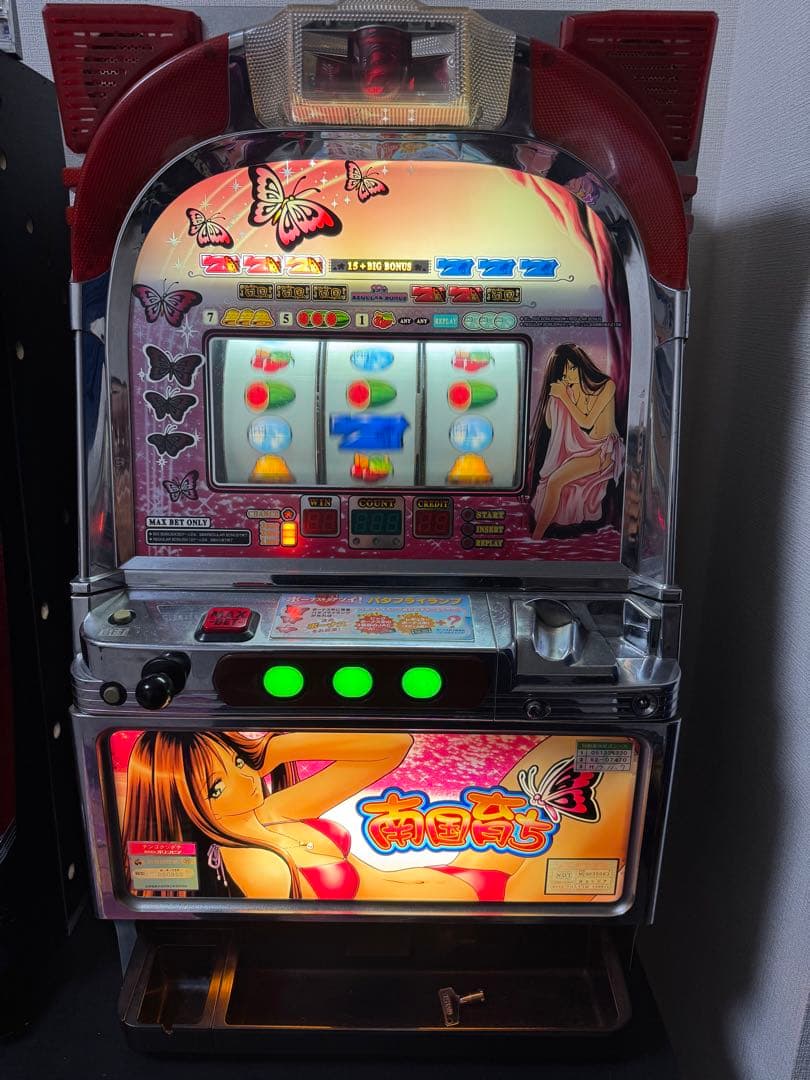 南国育ち 4号機 メダル不要機