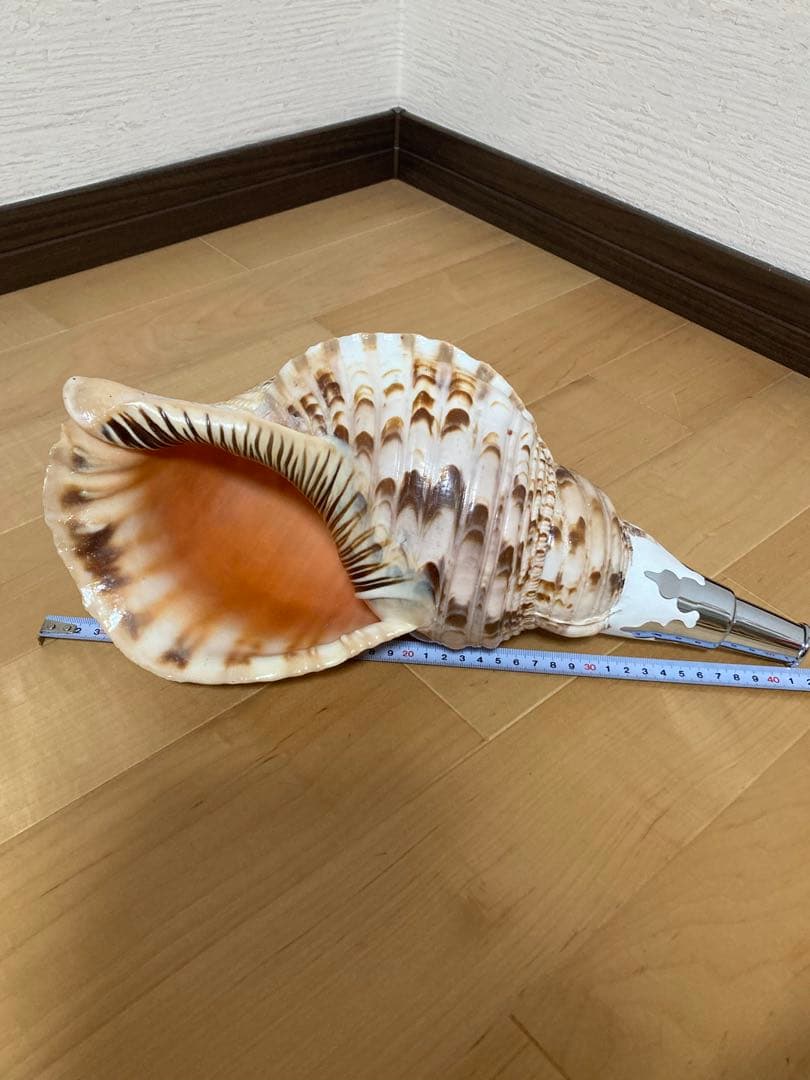 法螺貝　ほら貝　ホラ貝　山伏 修験道　和太鼓　お祭り　魔除け　当山派　本山派