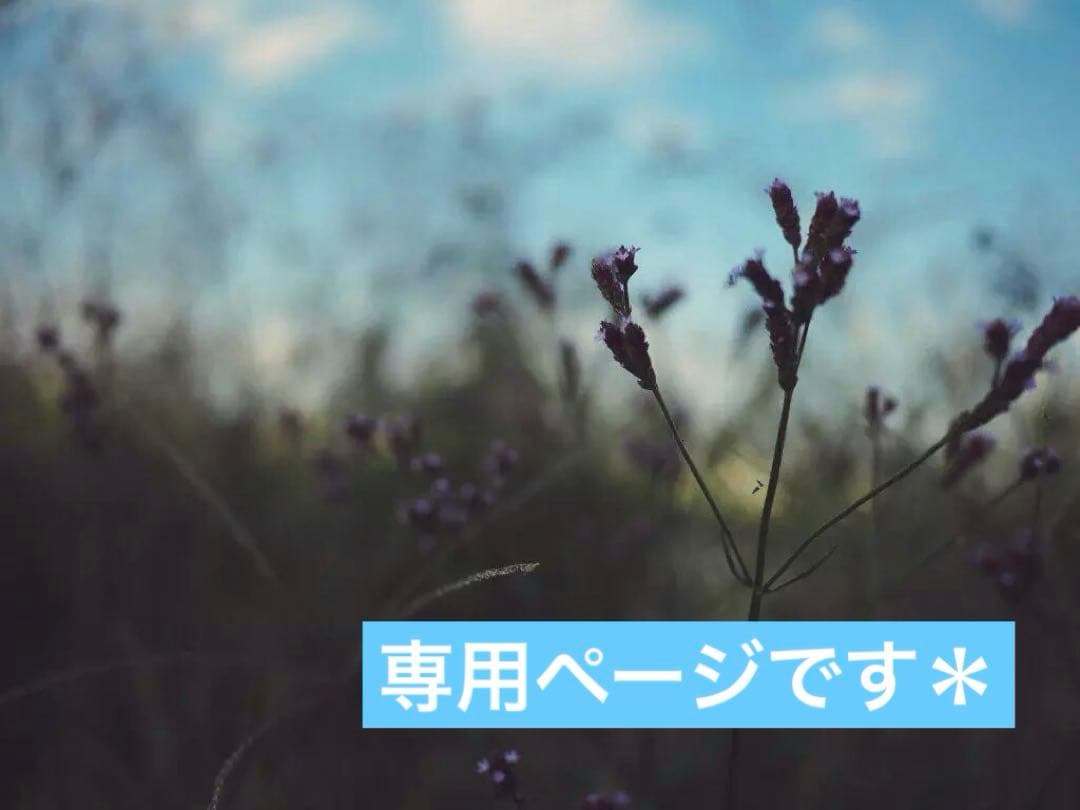 ポメころびページです＊