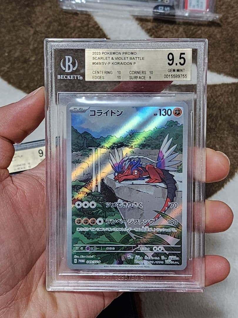 ポケモンカード コライドン プロモ 2023 BGS評価9.5= PSA評価10
