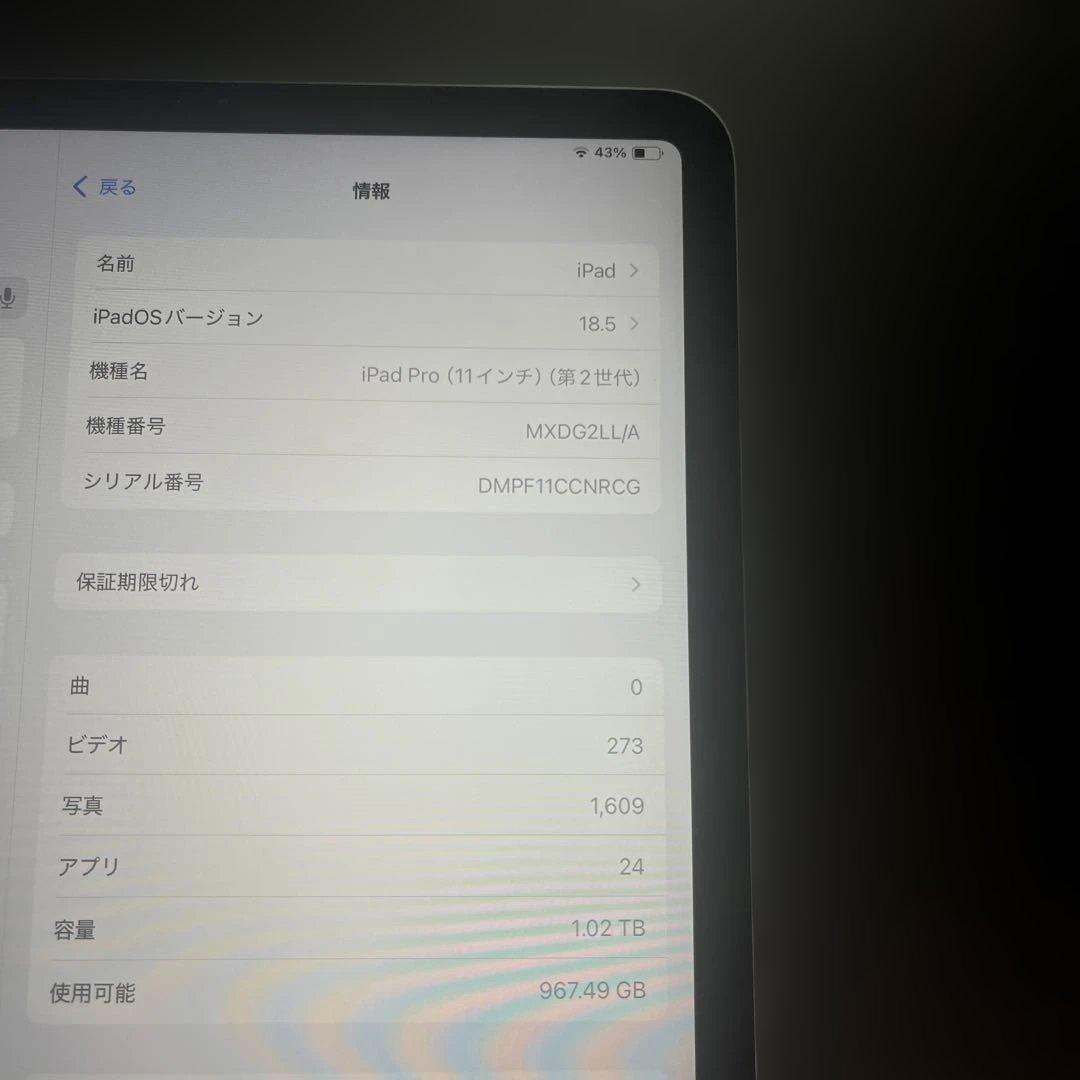 S*w様 Apple iPad Pro (11インチ) 第2世代 1TB スペー