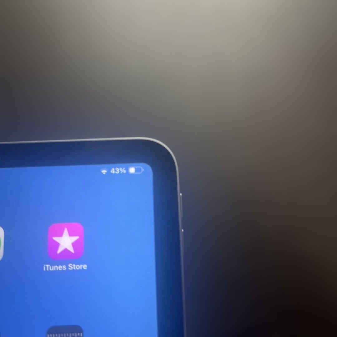 S*w様 Apple iPad Pro (11インチ) 第2世代 1TB スペー