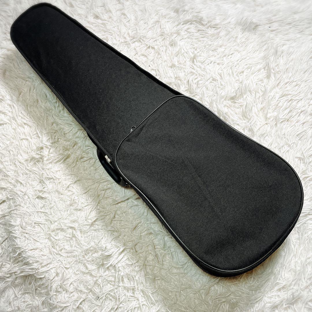 極美品　Reincarnation バイオリン　rv-55 セミハードケース