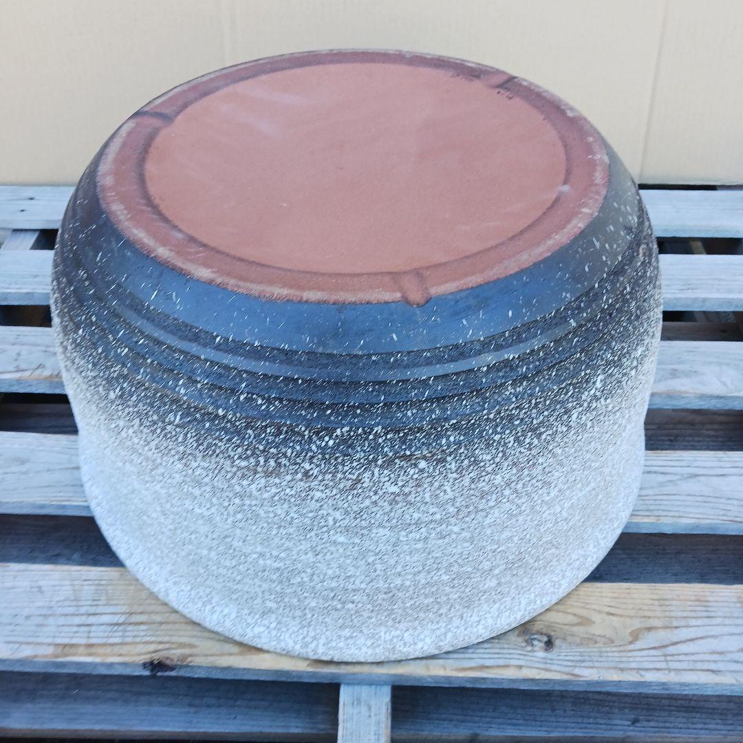 新品　特大Φ50　陶器　睡蓮鉢　メダカ鉢　難有　白　ホワイト　ルーバー高級LWH