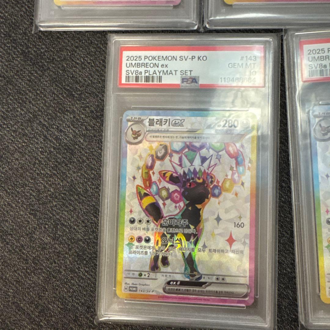 PSA10 ブラッキーex 韓国　テラスタルフェスex 5枚