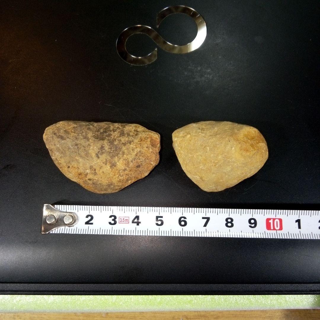 三葉虫　化石　fossil　ボリビア産　レア　Fossil識別②　２個セット