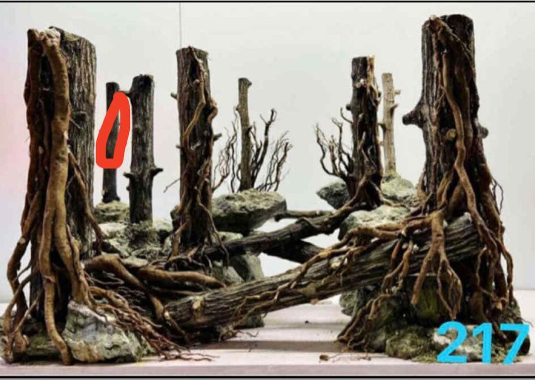 TTD 【⭐︎ SR3様⭐︎】【美品・数量限定】