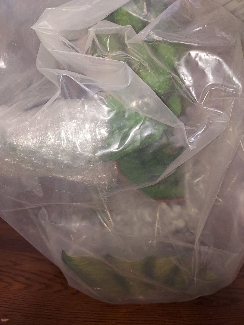 【国内正規品】ドラゴンボール一番くじ　ラストワン賞　ポルンガ