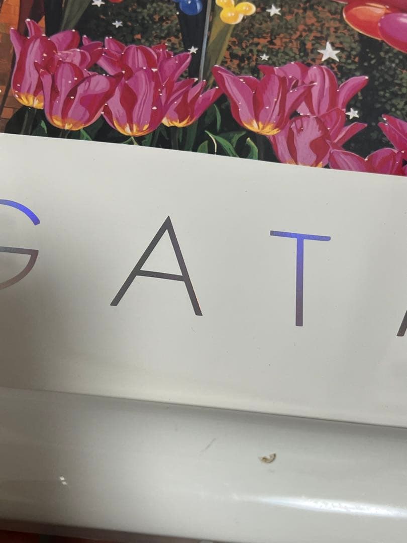 【特大】ヒロ・ヤマガタ　DISNEY LAND EVENIG ポスター　額傷有