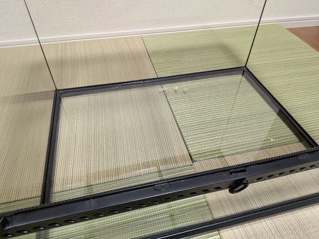 グラステラリウム 6045