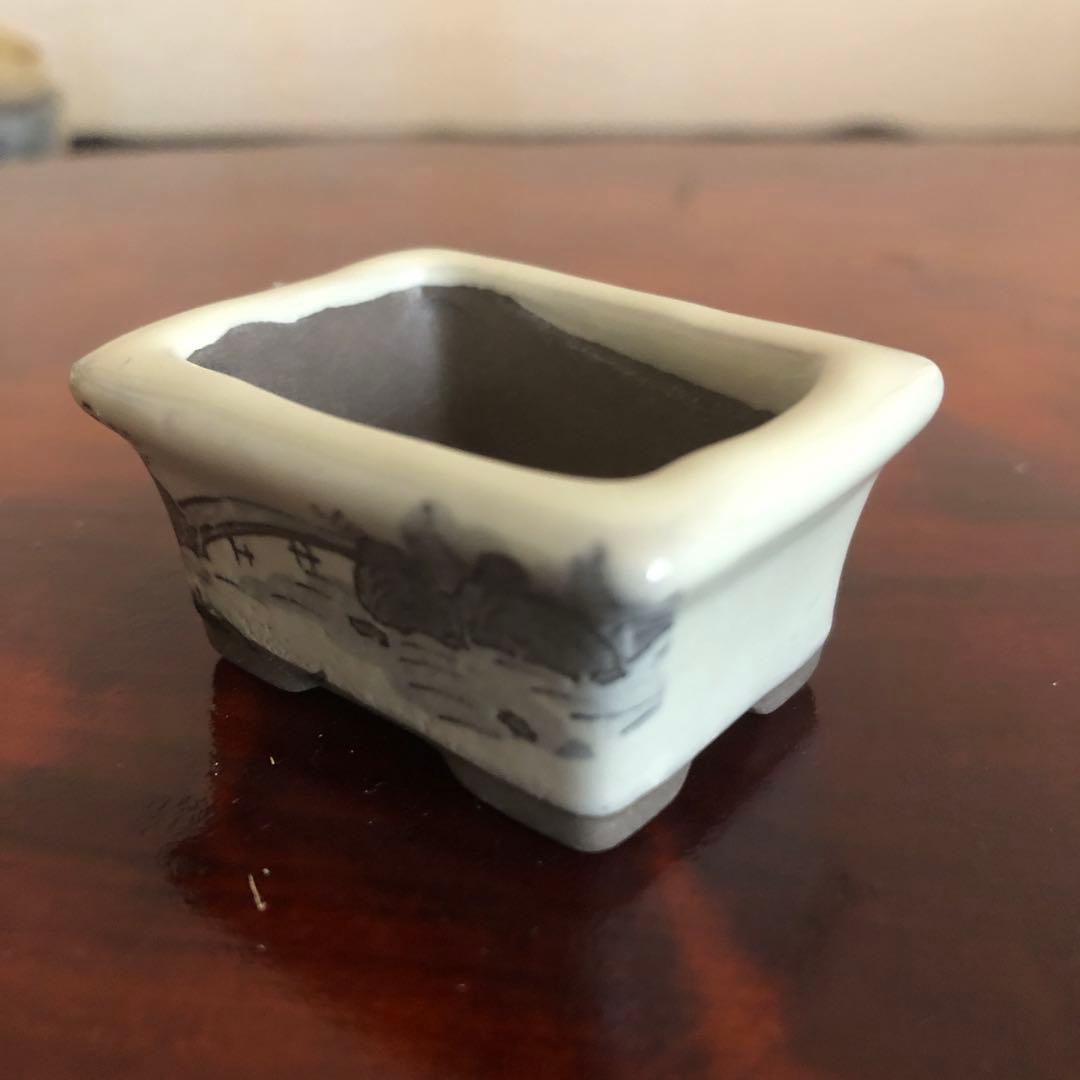 小品盆栽　サボテン　植物鉢 8点組　絵柄6点　小餅庵2点