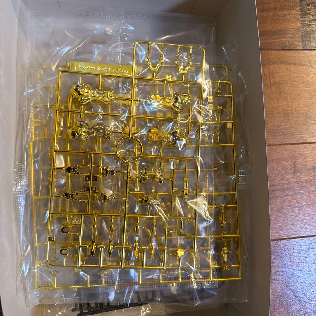 RG ガンダムゴールドフレーム天ミナ　スペシャルコーティング　未組み立て