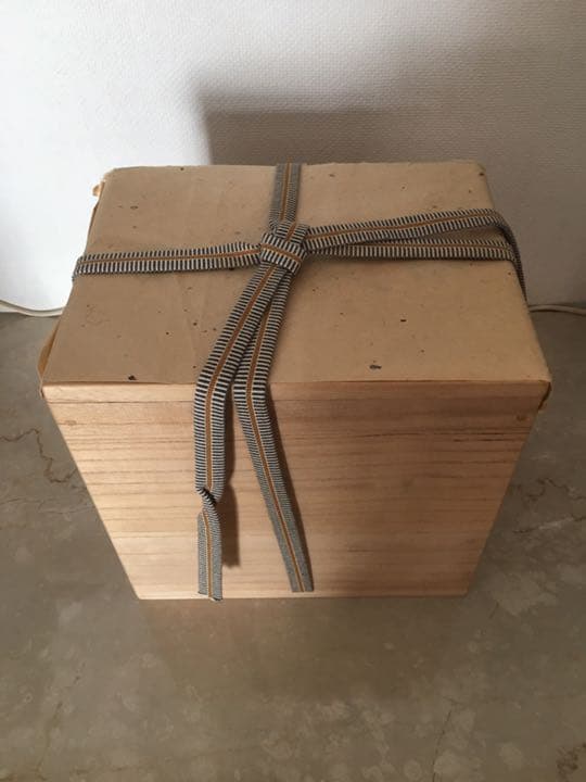 森 勝資 彩瓷扁壷