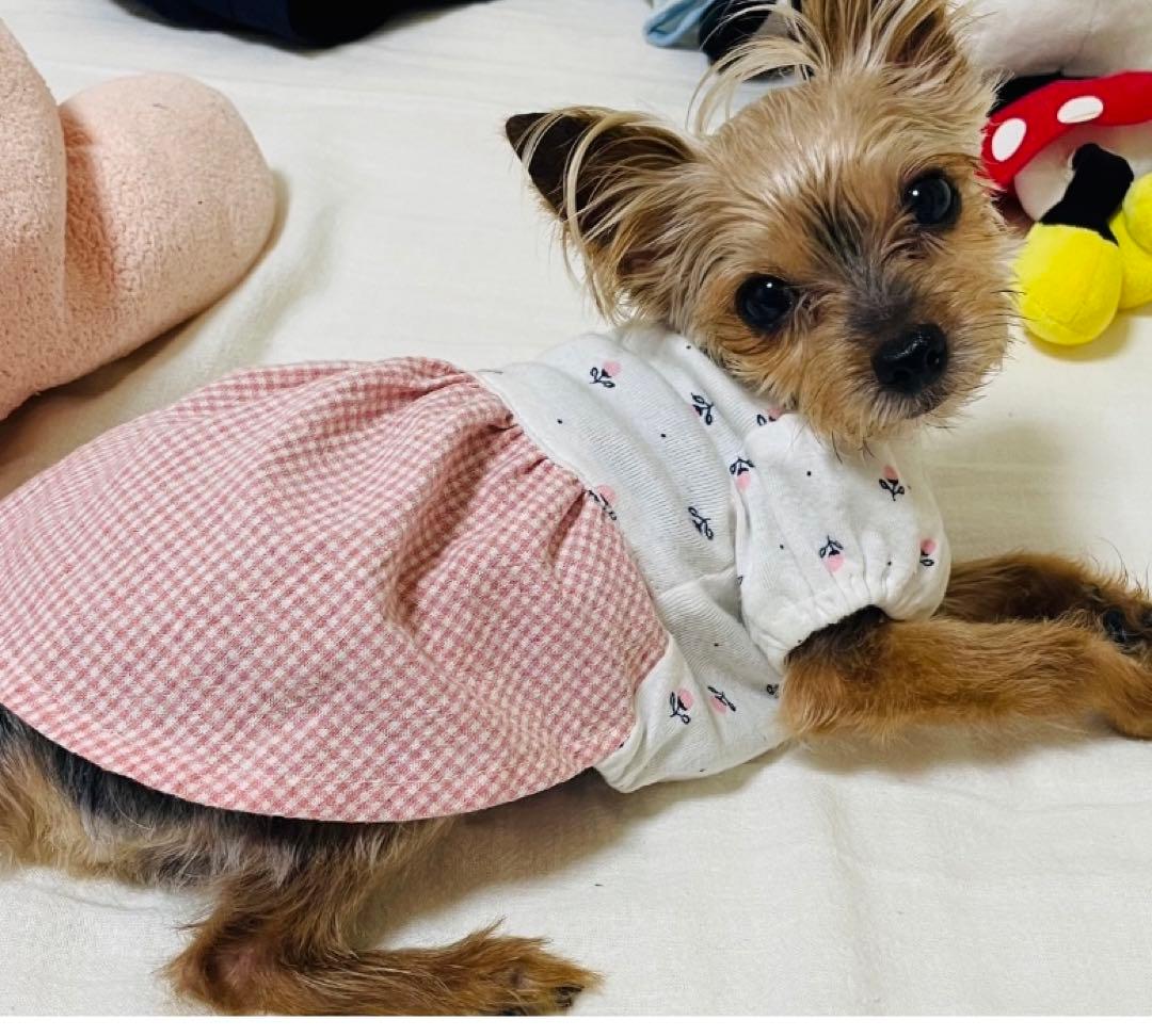 ハンドメイド犬服　ピンクの小花のパフスリーブワンピ