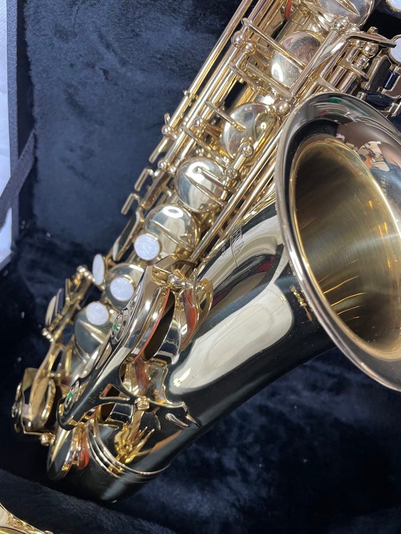 【限定値下げ】MINERVA ミネルバ アルトサックス MAS-1L ケース付き