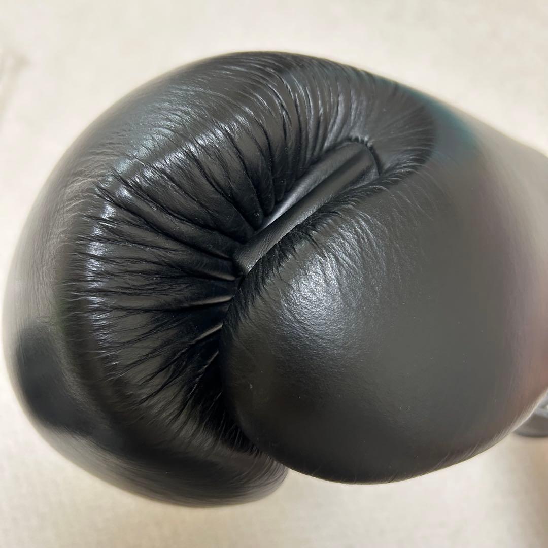 TWINS ボクシンググローブ　ツインズ　キックボクシング　グローブ