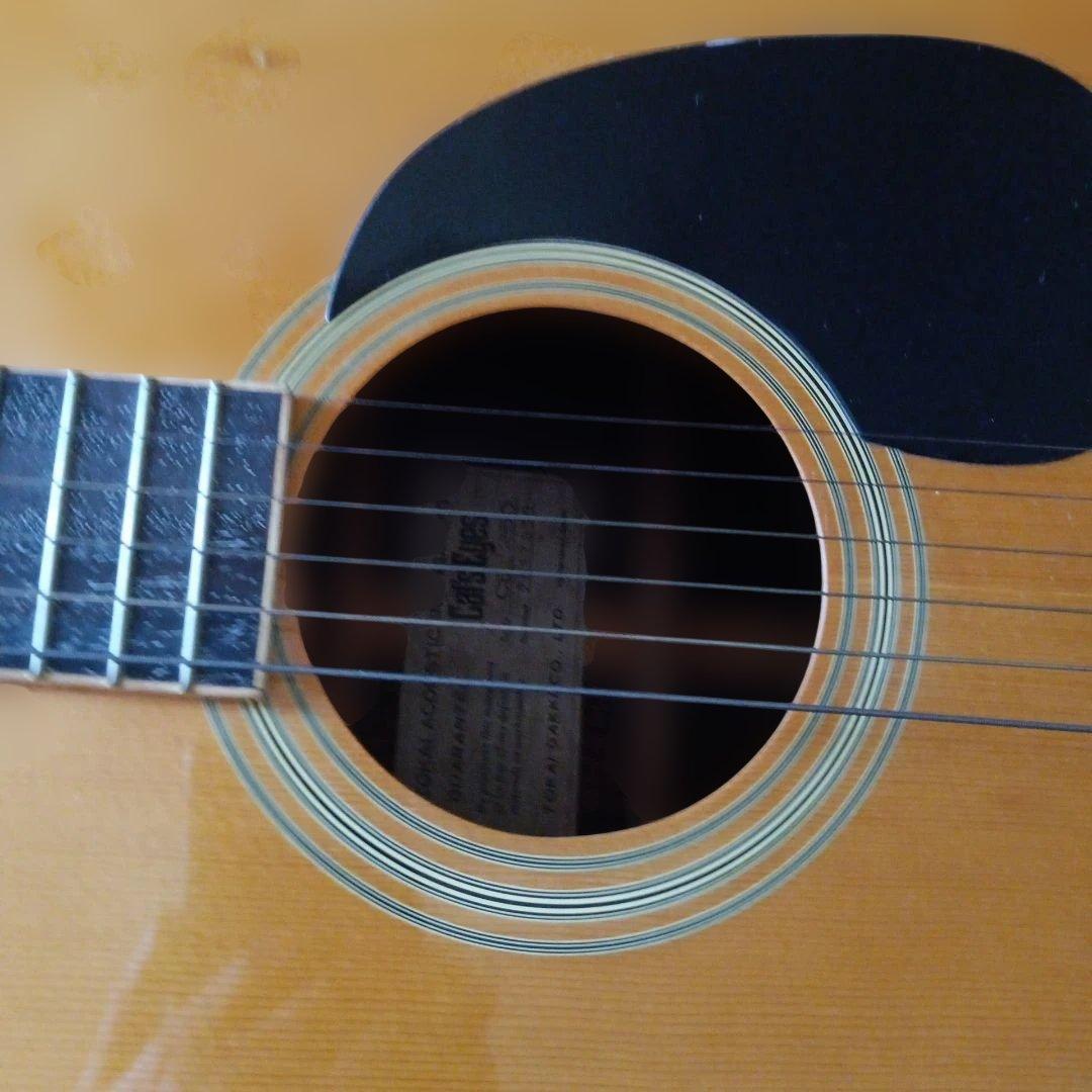 Tokai CE-250 Cat's Eyes アコースティックギター