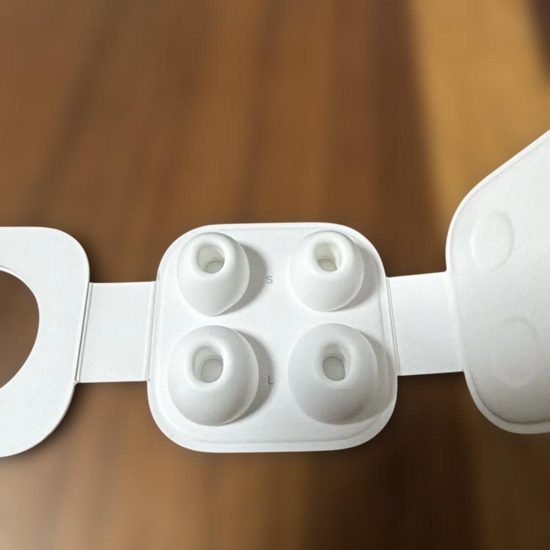 AirPods Pro 第１世代 本体