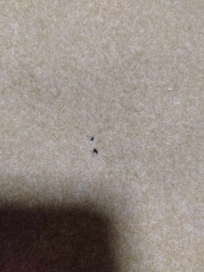 大日本帝国 旧日本軍 マントコート 外套 ポンチョ 本物