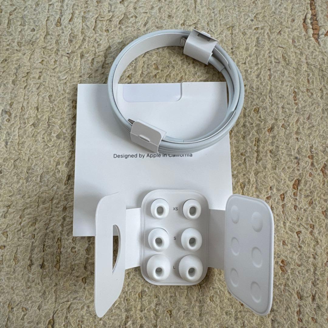 Apple AirPods Pro (第2世代・Lightningコネクタ)