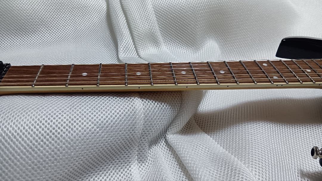 Ibanez RGA42TZ アクティブサーキット