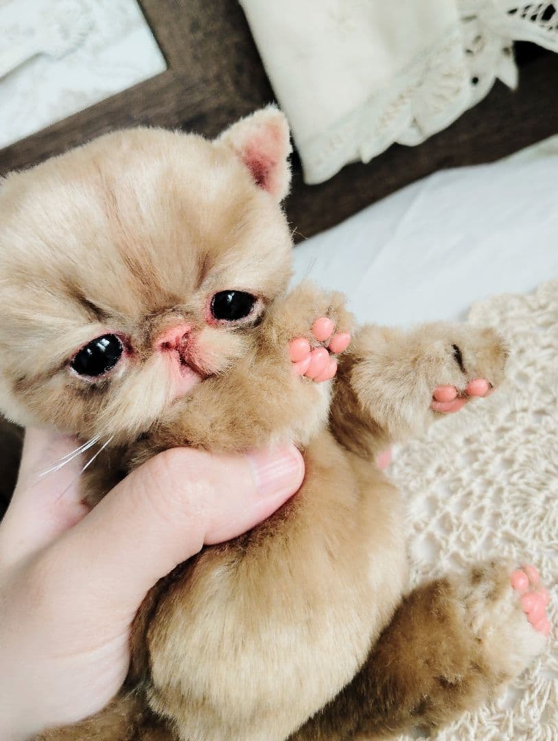 高級ファー♡エキゾチックショートヘア♡子猫のベルちゃん♡アートドール♡ぬいぐるみ