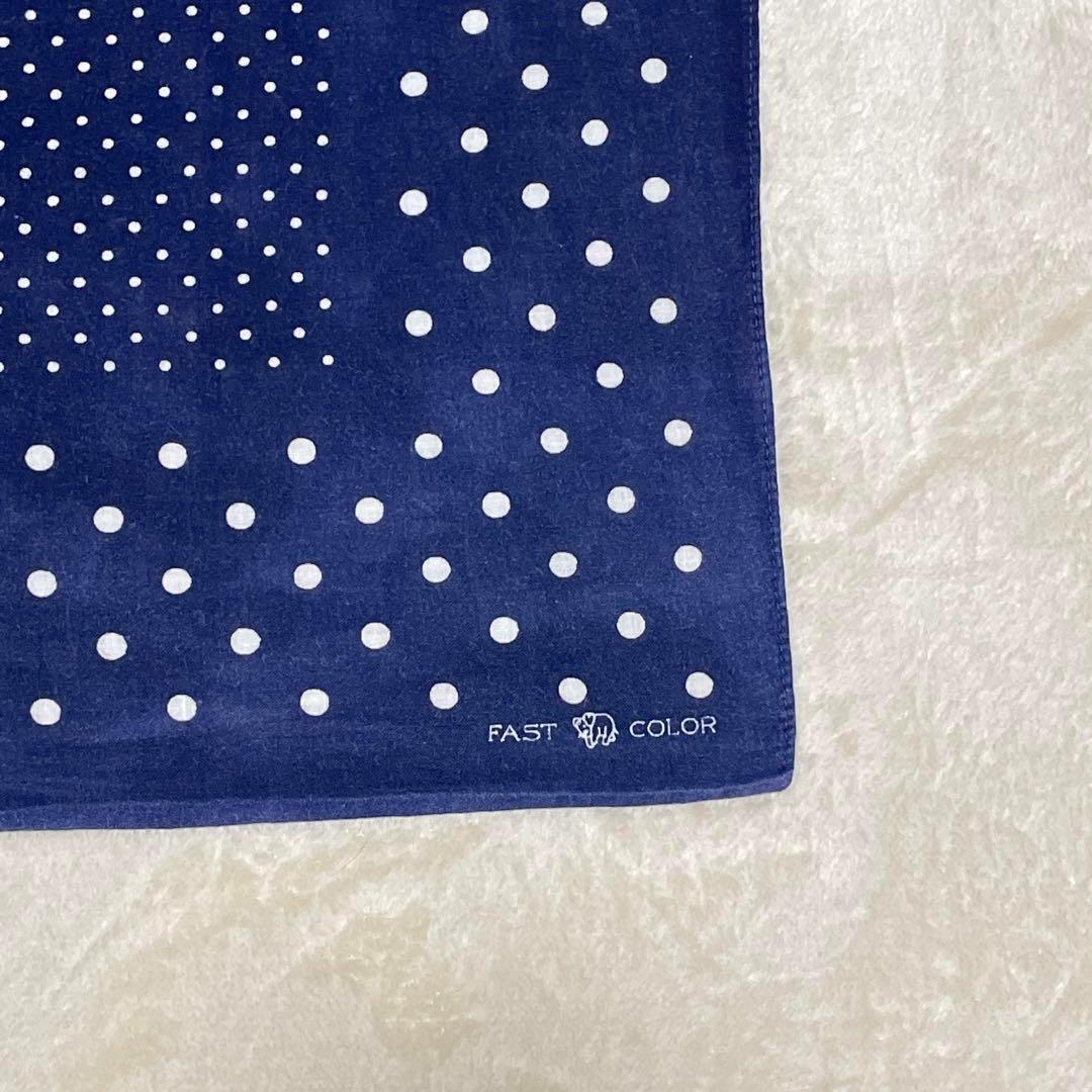 希少30s40s ポルガドット 下鼻 ゾウ 片耳 FAST COLOR