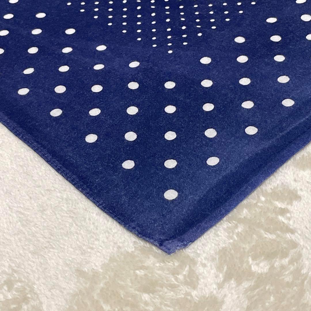 希少30s40s ポルガドット 下鼻 ゾウ 片耳 FAST COLOR