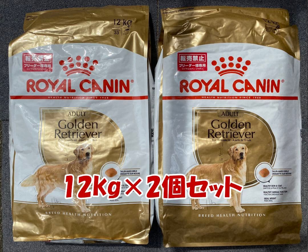 2個セット　Golden Retriever ゴールデンレトリバー12キロ