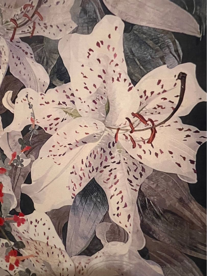 Amanda Richardson アマンダ リチャードソン絵画 額縁