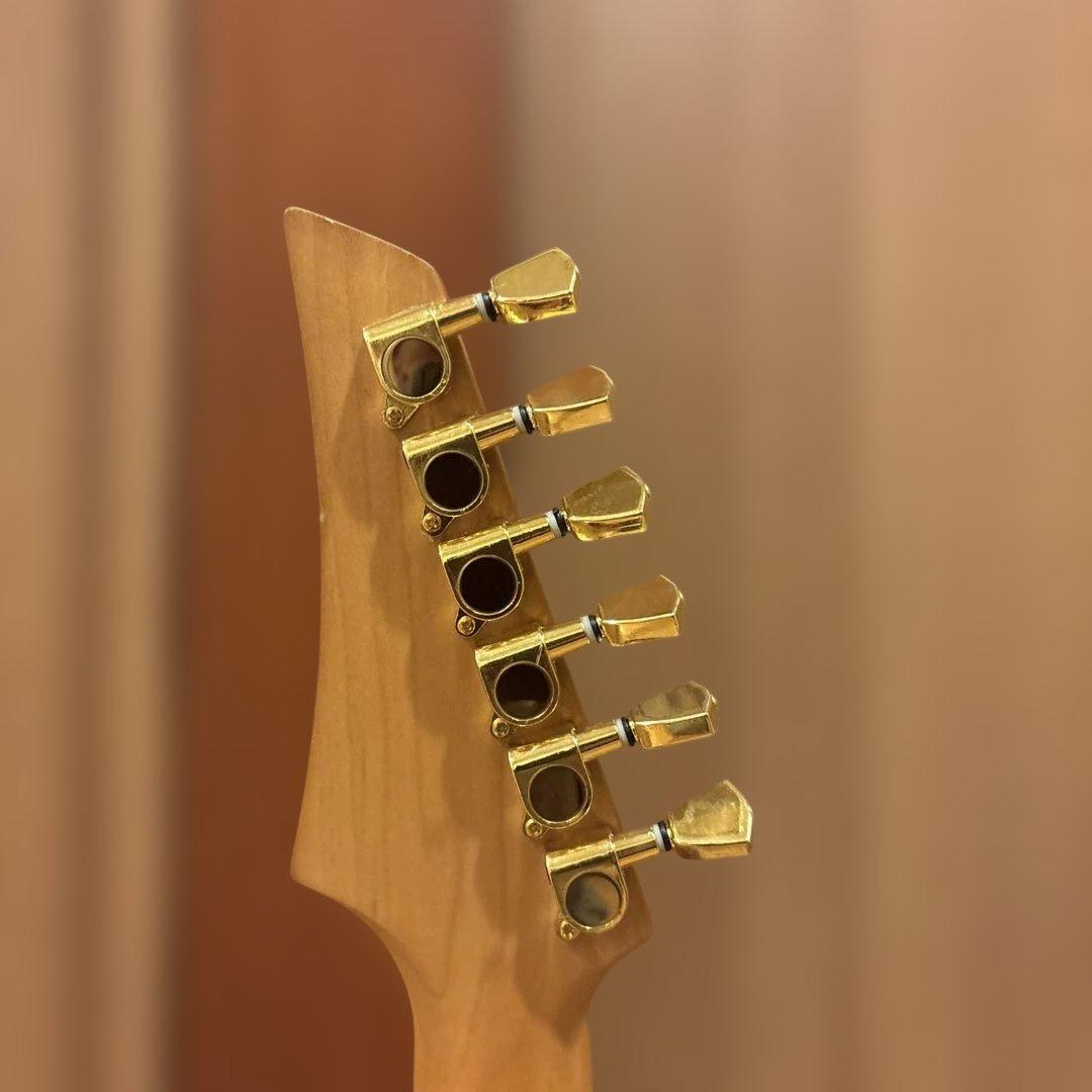 日本製 FERNANDES FGZ トレモロアーム・ストラップ付 新品弦張替済