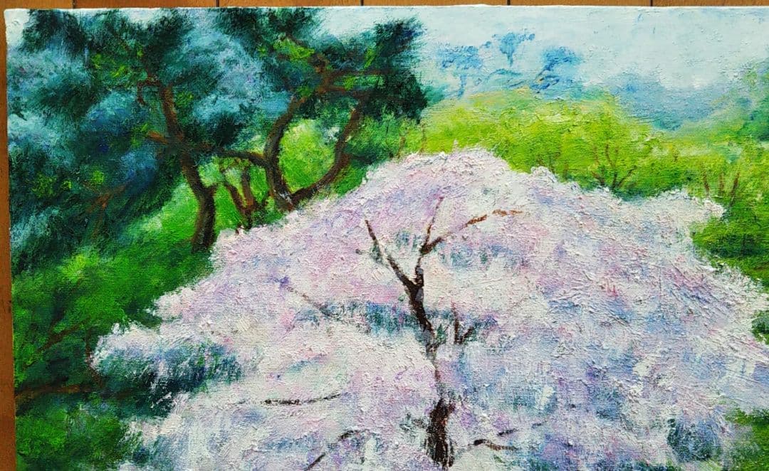 油絵 風景画 神奈川三渓園の枝垂桜【4月】P10