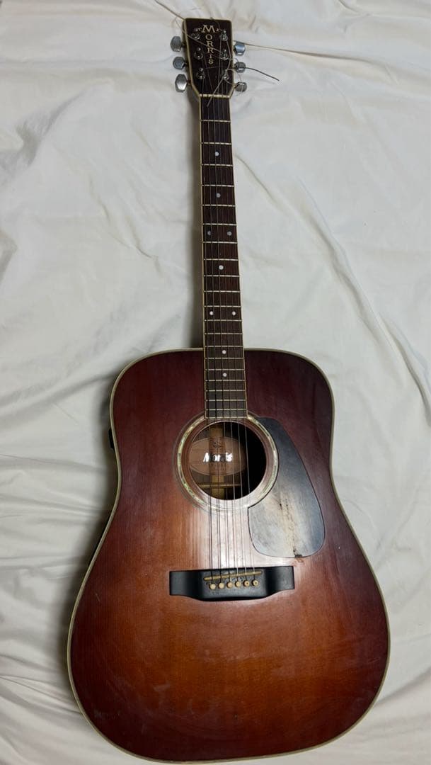 Morris TF アコースティックギター